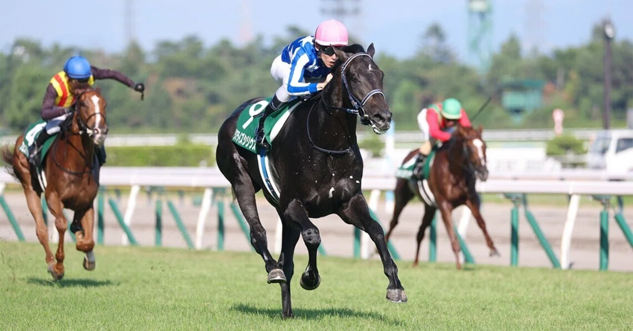 2026 新潟2歳S サイン考｜ガラスの脚 サイン競馬予想