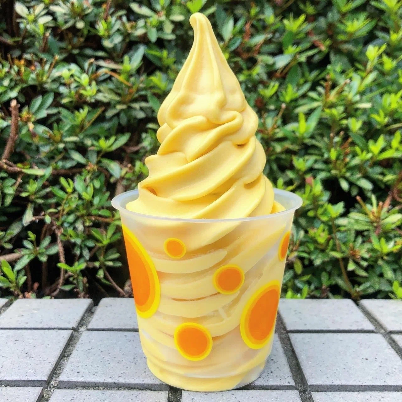 東京】新宿のソフトクリームガイド②+新大久保｜プロソフトクリーマー森川
