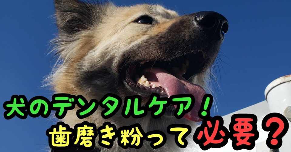 歯磨きは大切 でも歯磨き粉って必要ですか ドッグライフサポーター 獅子パパ Note