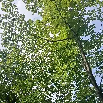 なつ｜つづく、保育。