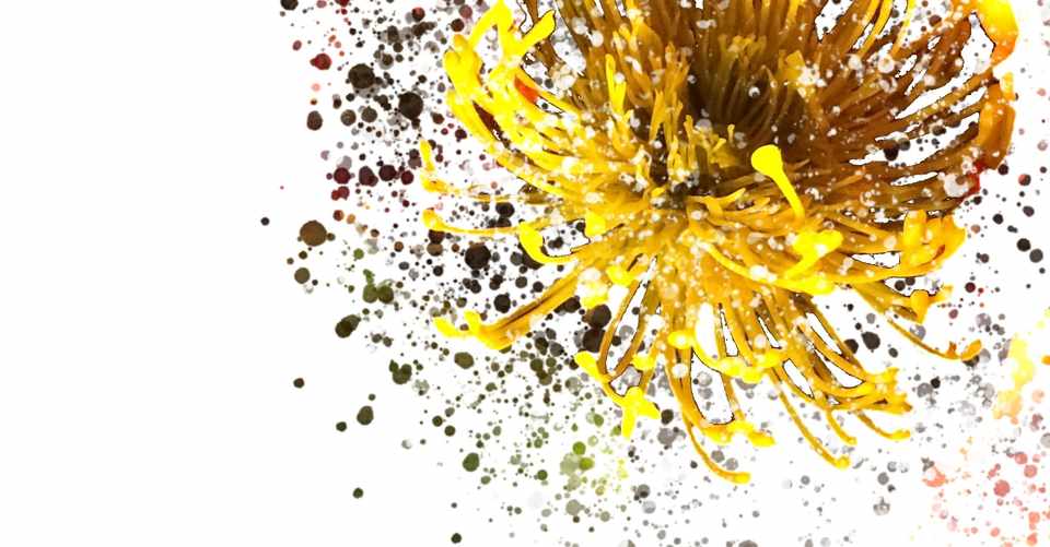 Photoshop 画像加工 フラワーアート 鳴本 なるもと Note