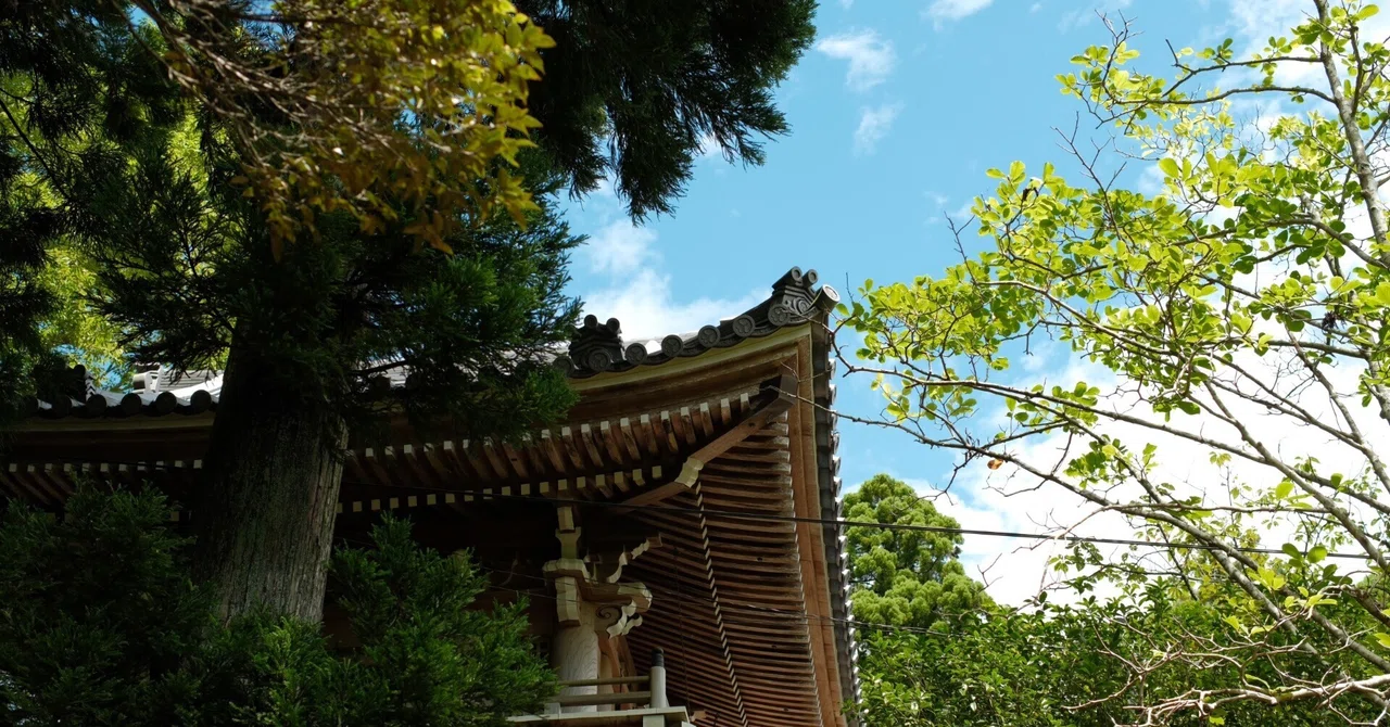 FUJIFILM X-M5 × SIGMA 30mm F1.4 | A day spent walking around a temple ...