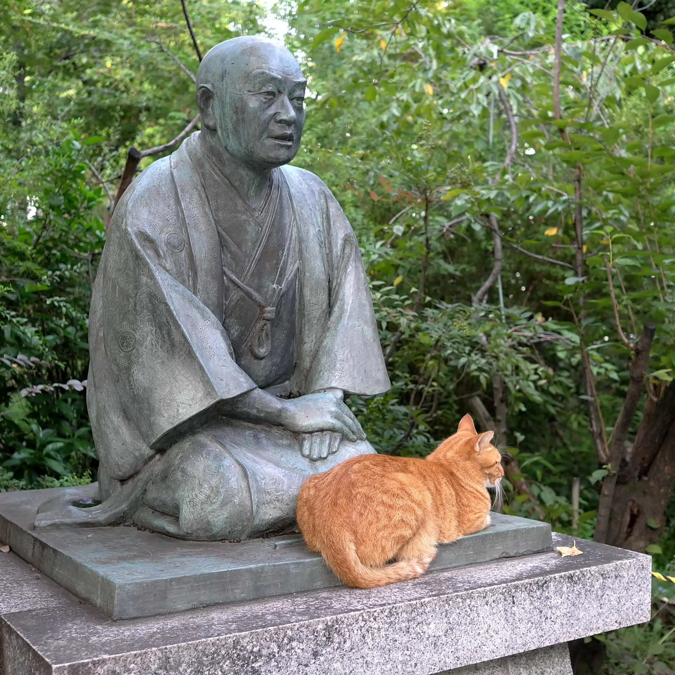 熊本熊
