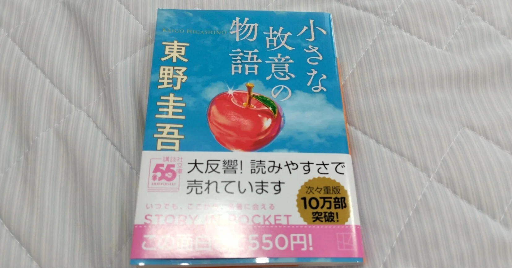 小さな故意の物語/東野圭吾｜真咲ともか