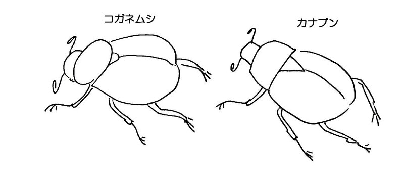 あるコガネムシの数奇な一生 下川太郎 あまね設計 Note