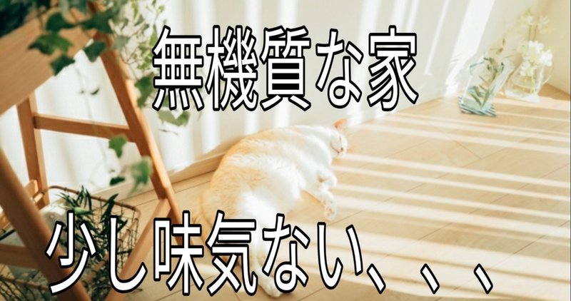 無機質でシンプルな家 無駄のないインテリア ひとりごと takumi note