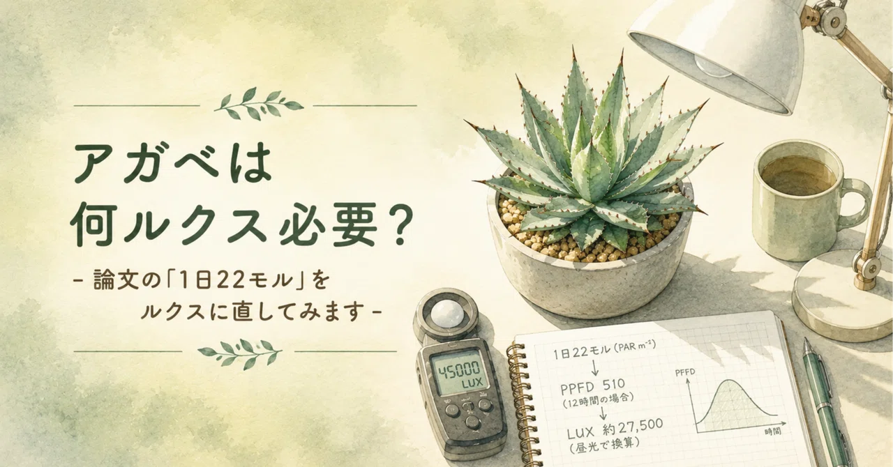 アガベは何ルクス必要?論文の「1日22モル」をルクスに直してみます|翠|アガベ大好き🌵