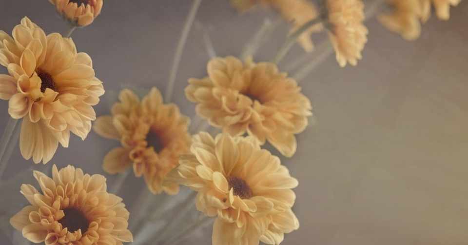 結婚相手の条件を掲げたところで それに意味はない 椎名すもも Note