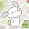 ぽんちゃん🐶🍀
