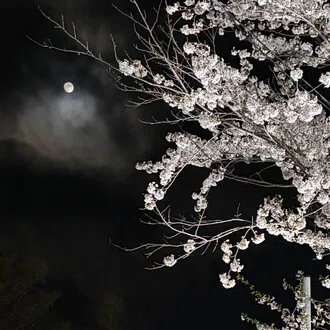 悠華