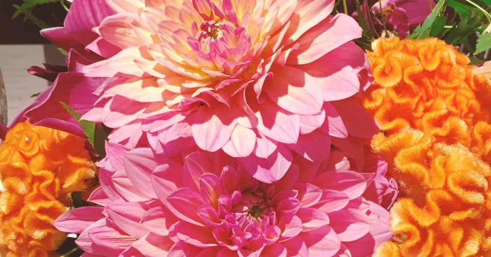 アラサーが友人の結婚報告を受けて思うこと Met Note