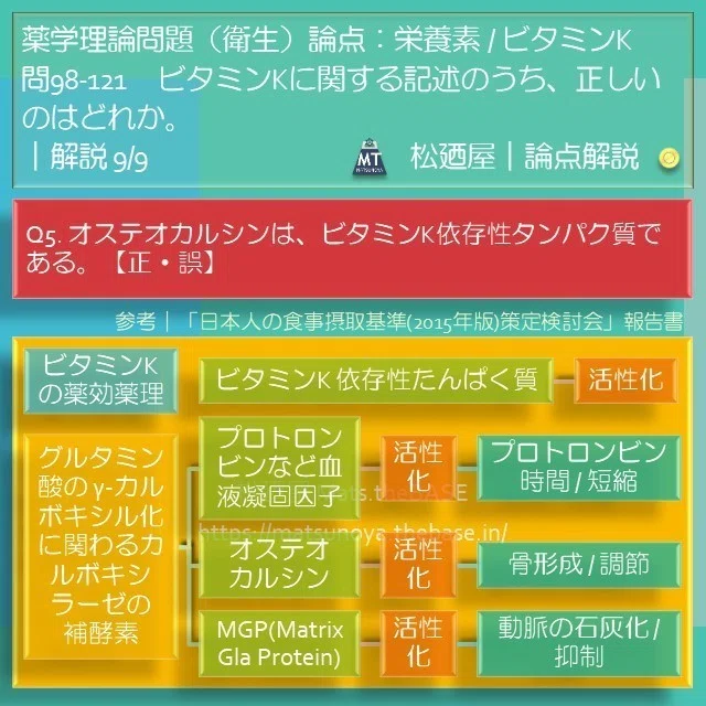 スライド11
