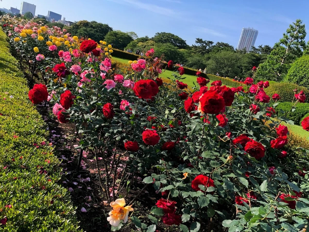 画像31