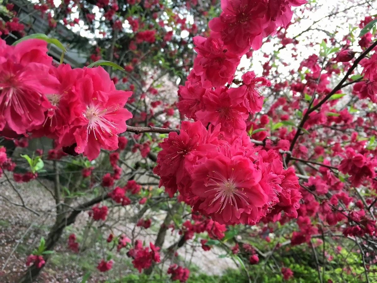 画像33