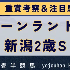 合理的に考えて、単勝。｜四畳半競馬