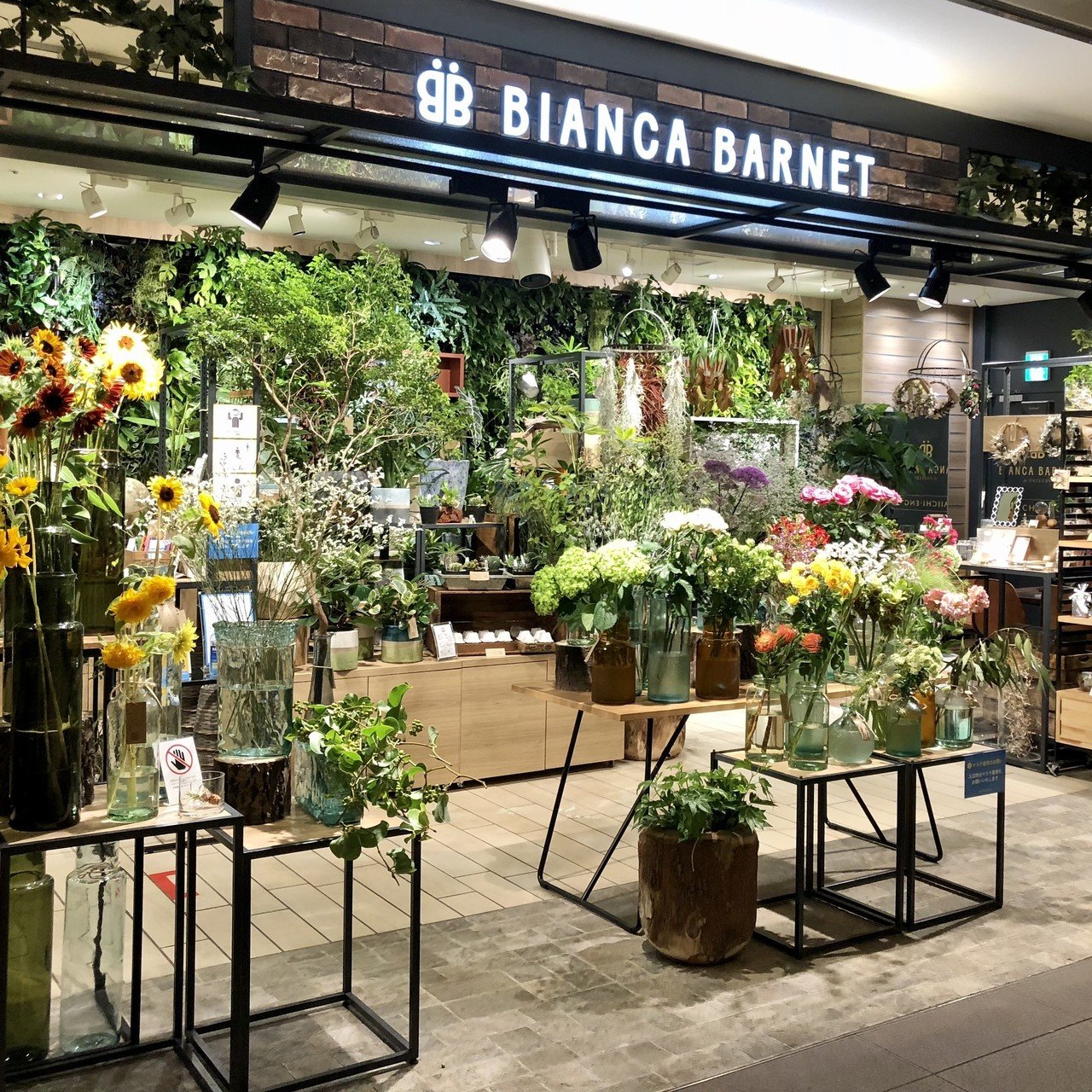 花オタク エリが行ってみた 2 東京ミッドタウン日比谷 日比谷公園 Hanaike はないけ Note