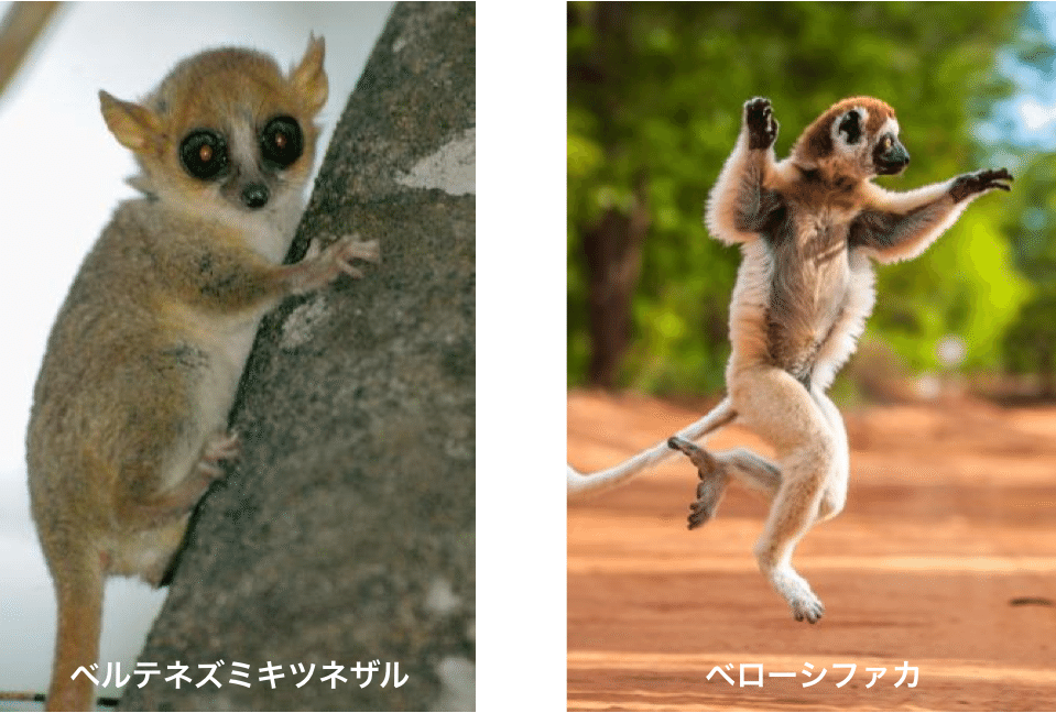 スクリーンショット 2020-07-16 11.13.17