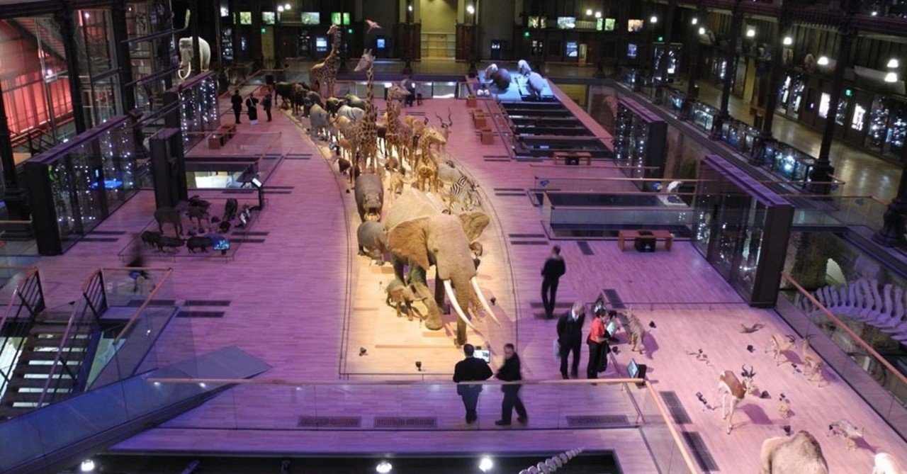 世界の自然史博物館 2 フランス国立自然史博物館 国立沖縄自然史博物館設立準備委員会沖縄部会 Note