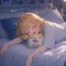 Sena