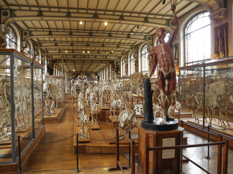 世界の自然史博物館 2 フランス国立自然史博物館 国立沖縄自然史博物館設立準備委員会沖縄部会 Note 世界の自然史博物館 2 フランス国立自然史博物館 国立沖縄自然史博物館設立準備委員会沖縄部会 Note