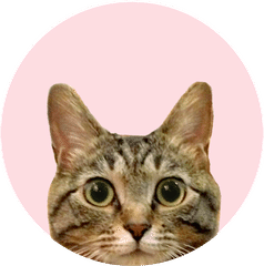 今日も猫ちゃんが愛に溢れる 咲え Note 今日も猫ちゃんが愛に溢れる 咲え Note