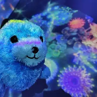 うさめろ(⁠*⁠˘⁠︶⁠˘⁠*⁠)⁠.⁠｡⁠*⁠♡