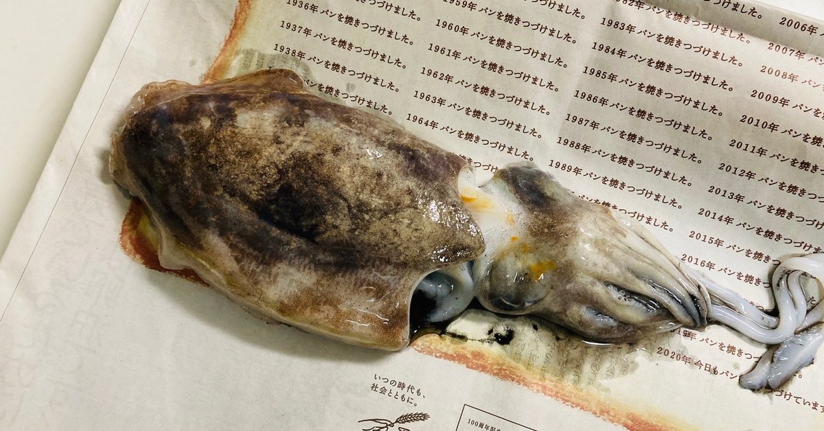 紋甲イカ ハート