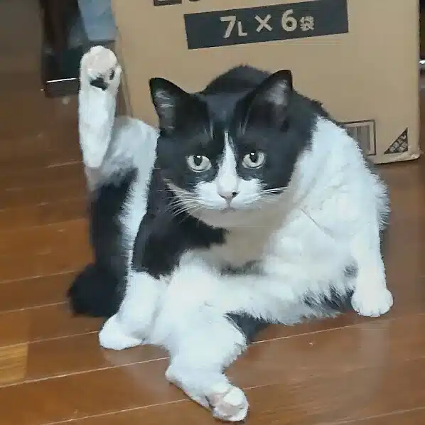 イチロ