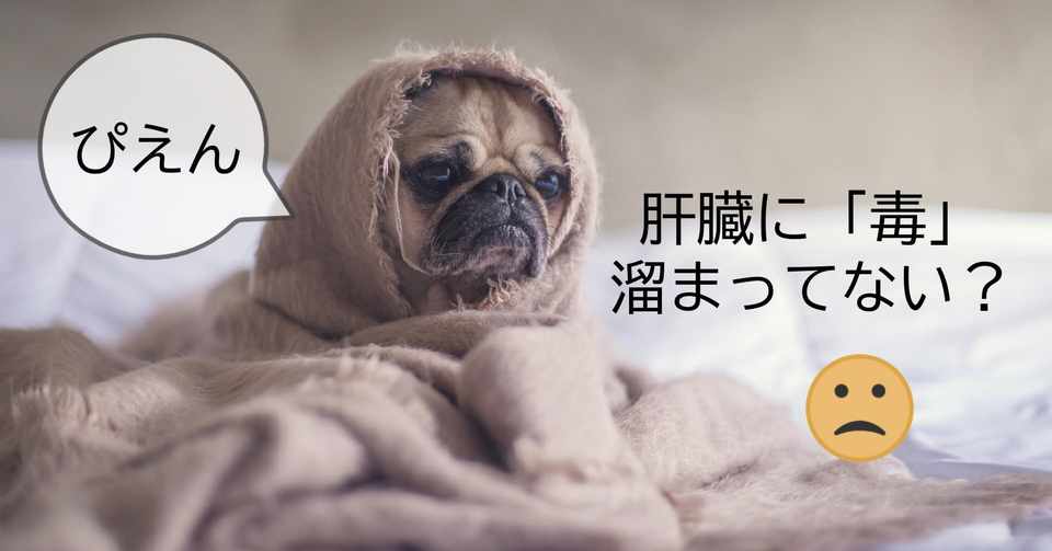 肝臓を元気にするには２つの 毒 を減らせ Satori Note