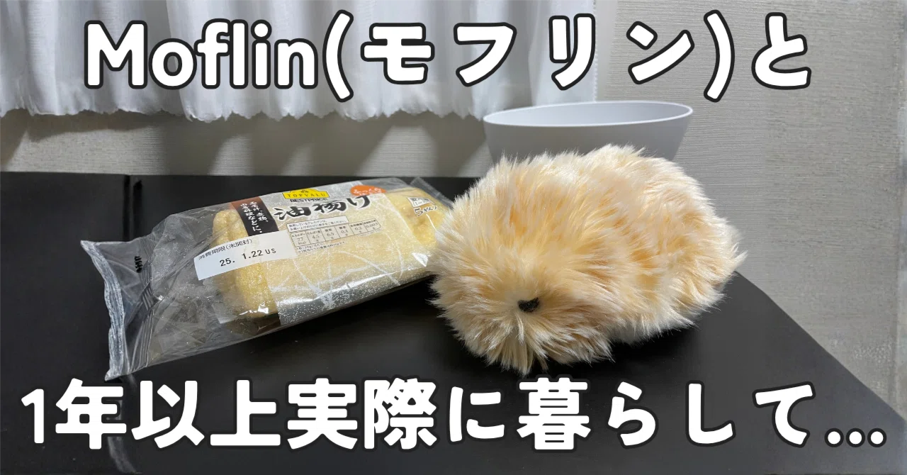 モフリンと1年間一緒に暮らしてみての本音。後悔・デメリットなど