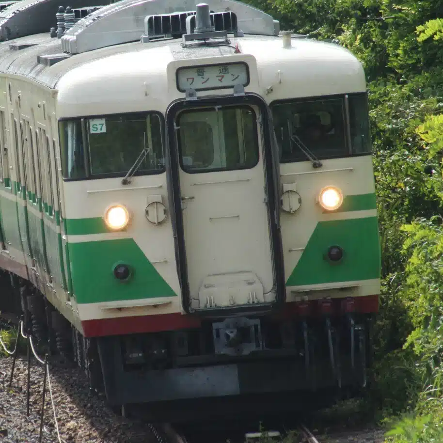 shimamon