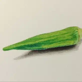ニシカタ