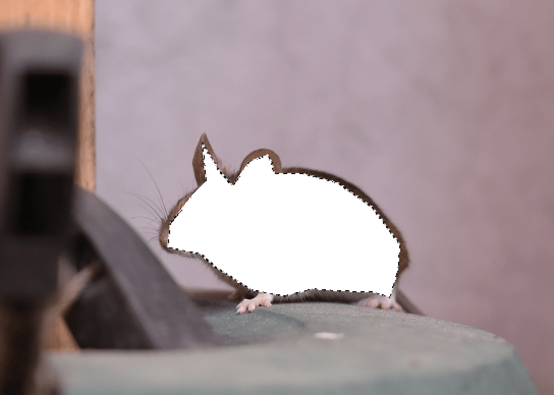 GIMPで写真の背景を削除する｜KaJa｜note