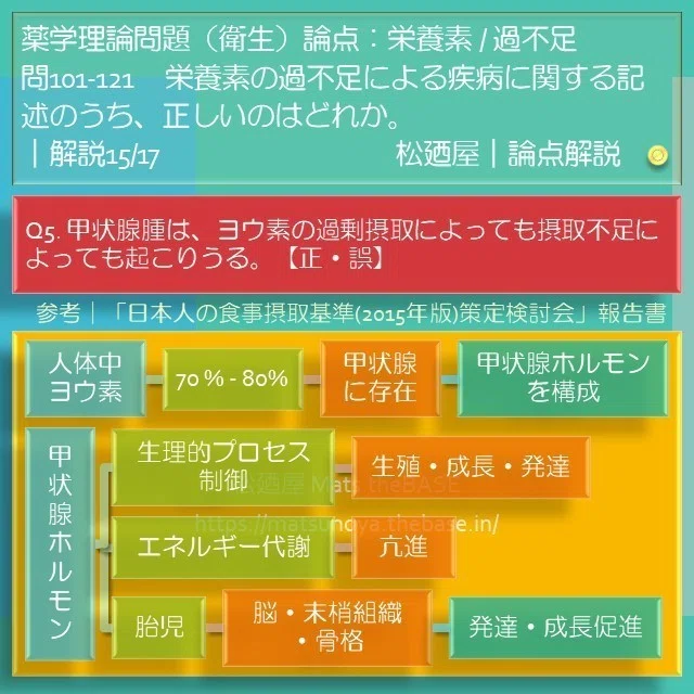 スライド17