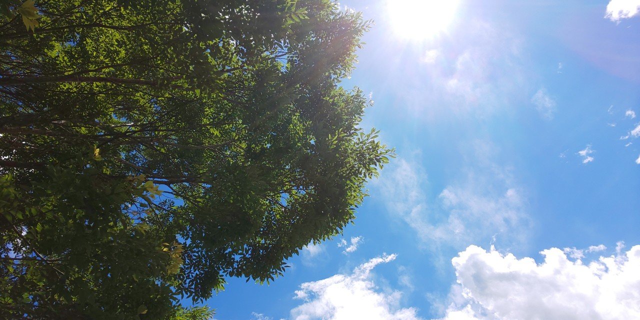 自分を解き放って 光を放つ存在になる Emiko シモハタエミコ Note 自分を解き放って 光を放つ存在になる Emiko シモハタエミコ Note