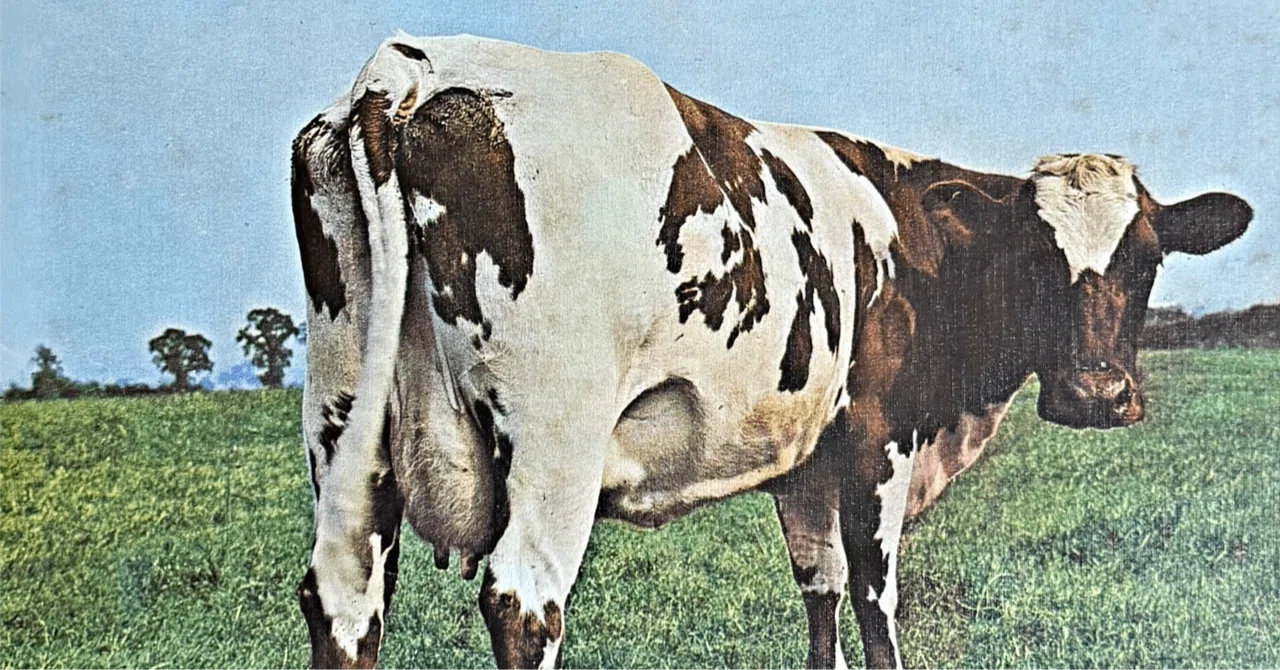 原子心母（Atom Heart Mother）はなぜ日本で神格化されているのか？英