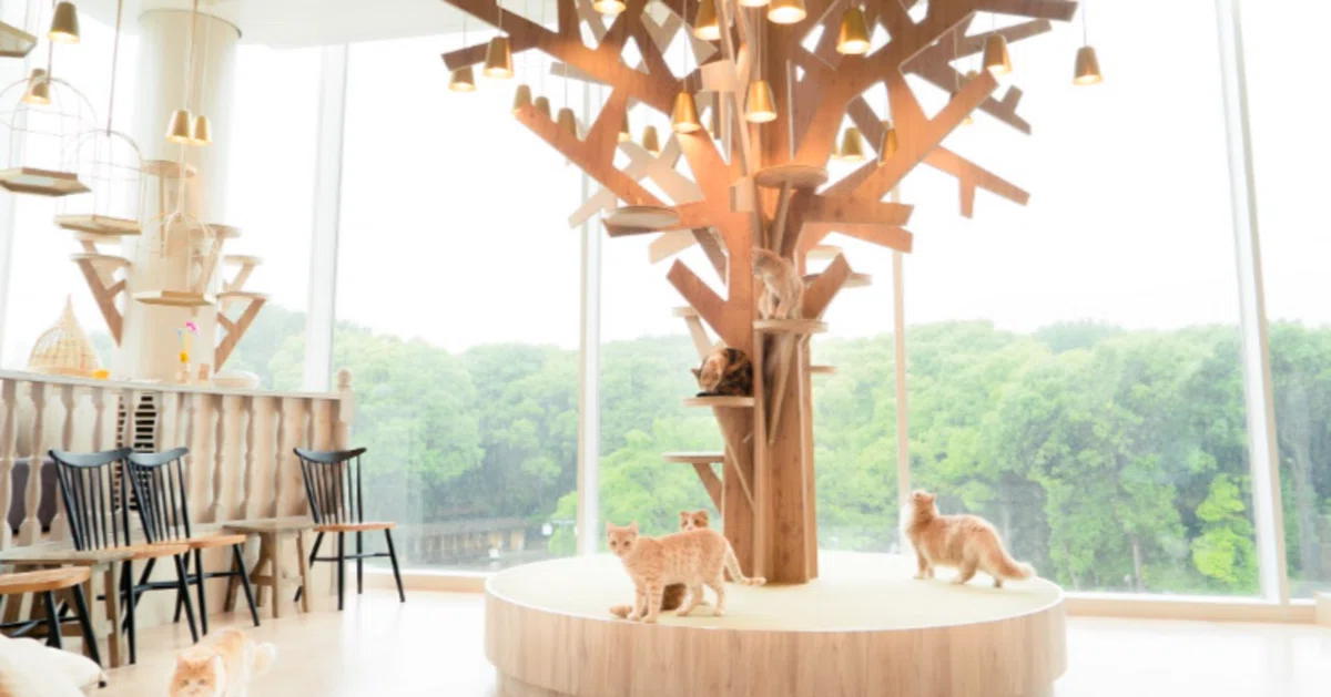 [Store Introduction] Right in front of Harajuku Station! A Thorough ...