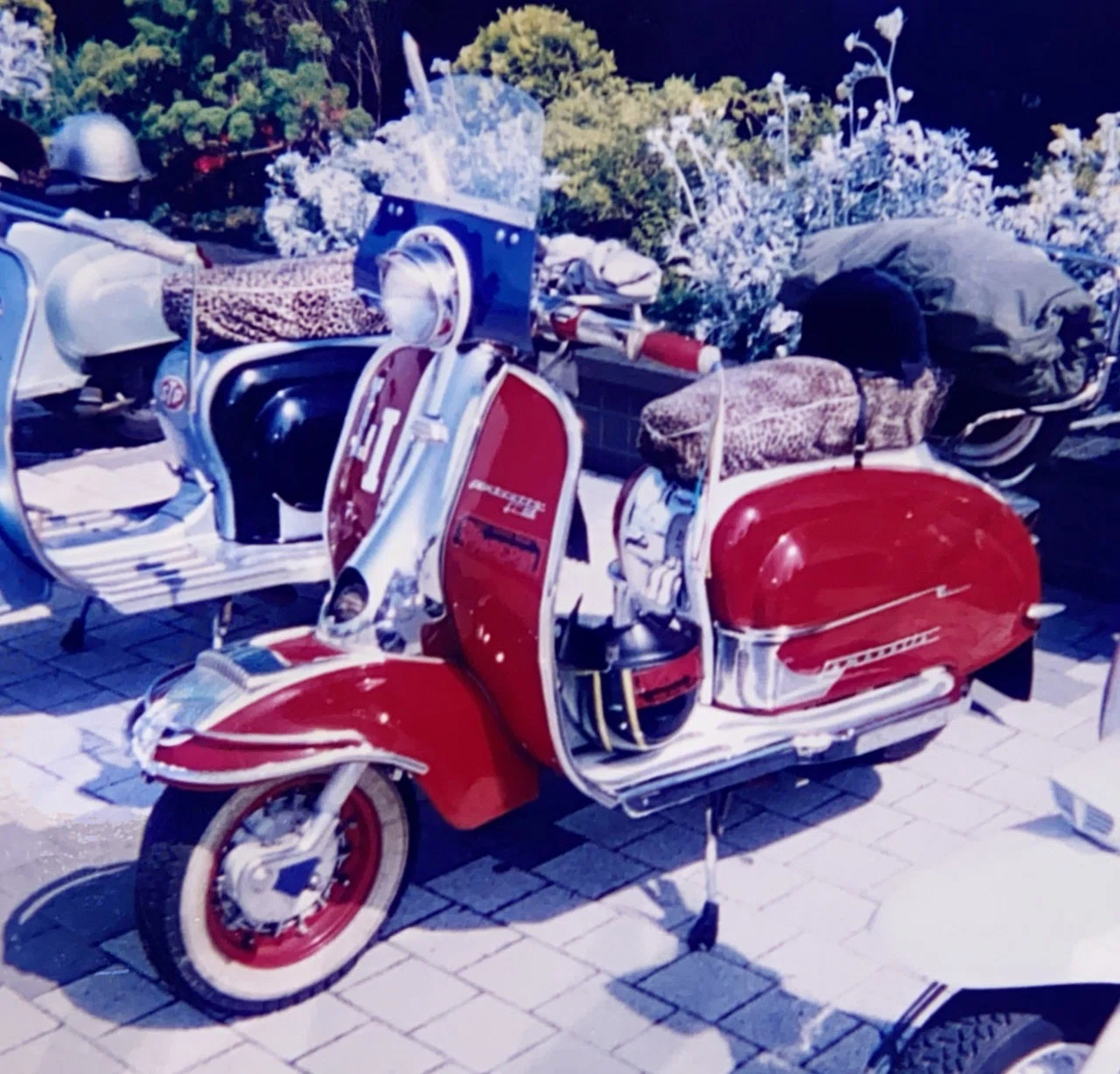 Scooter's Love #1｜module(モジュール)