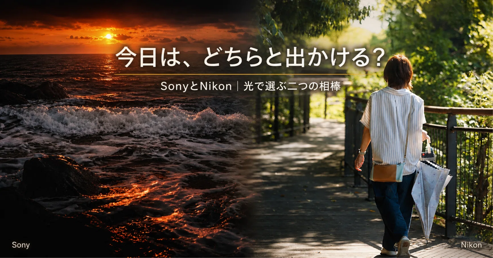 SONY a｜動作不良なし｜すぐ使える！ SonyかNikonか決められない人へ｜初代α7とZ6IIを実際に使って分かった