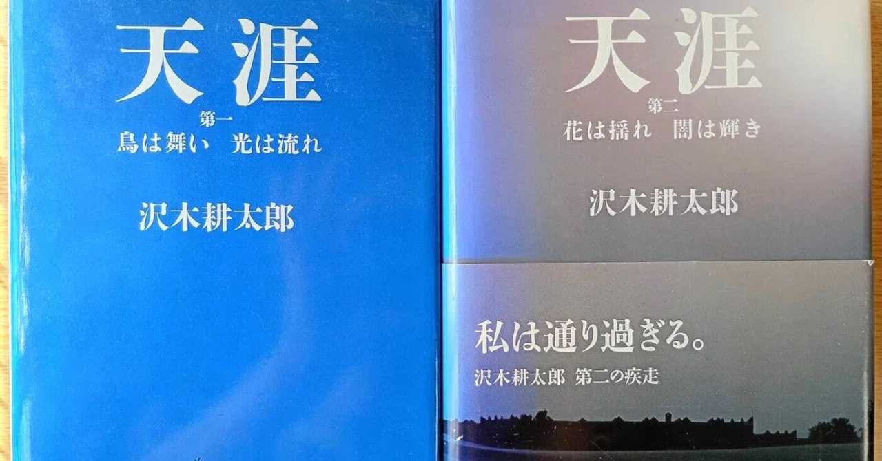 沢木耕太郎「天涯 第一」「「天涯 第二」2冊セット 写真集＠ラクマ出品中！2026.8.20｜西垣裕里（ゆりりん社会保険労務士・行政書士事務所）