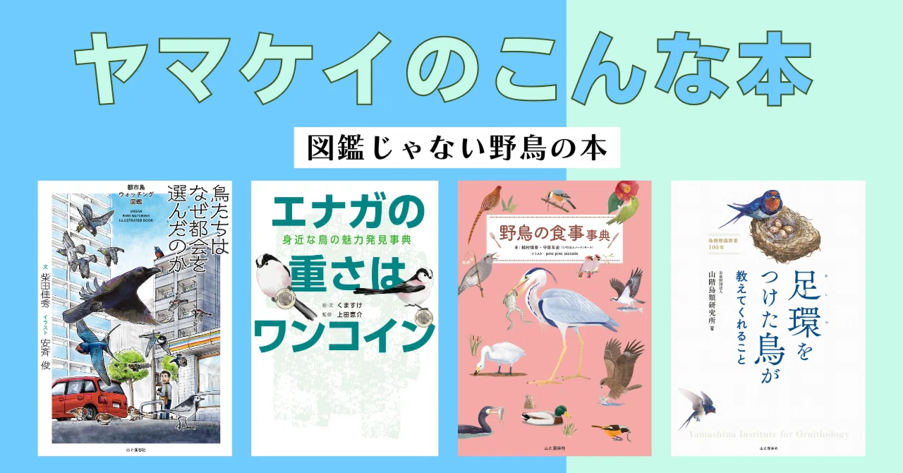 図鑑じゃない野鳥の本 10冊！【ヤマケイのこんな本】｜ヤマケイの本
