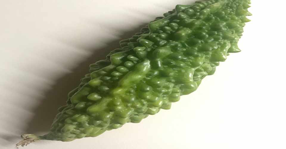 畑 頭上1mのゴーヤちゃん 収穫 ゆこ ぺんぎん丸 Note