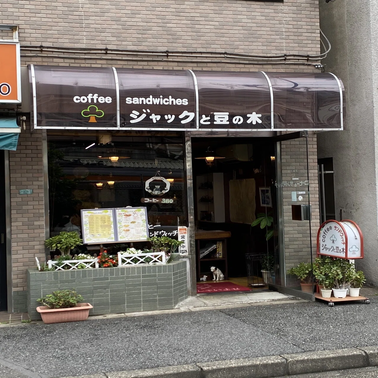 海賊王に俺はなる！ NO,33 東中野 ジャックと豆の木｜キャサリン本田