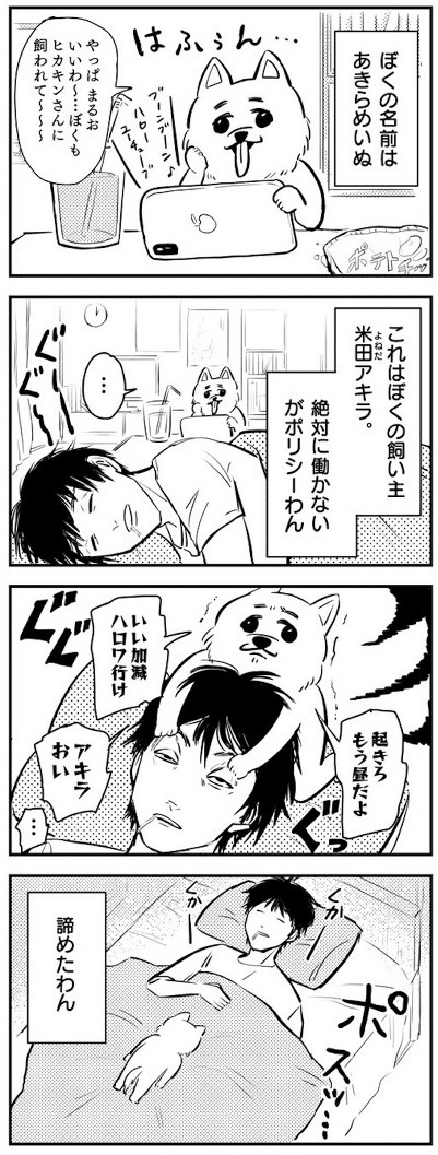 #漫画
#犬
#4コマ漫画
#犬漫画
#あきらめいぬ