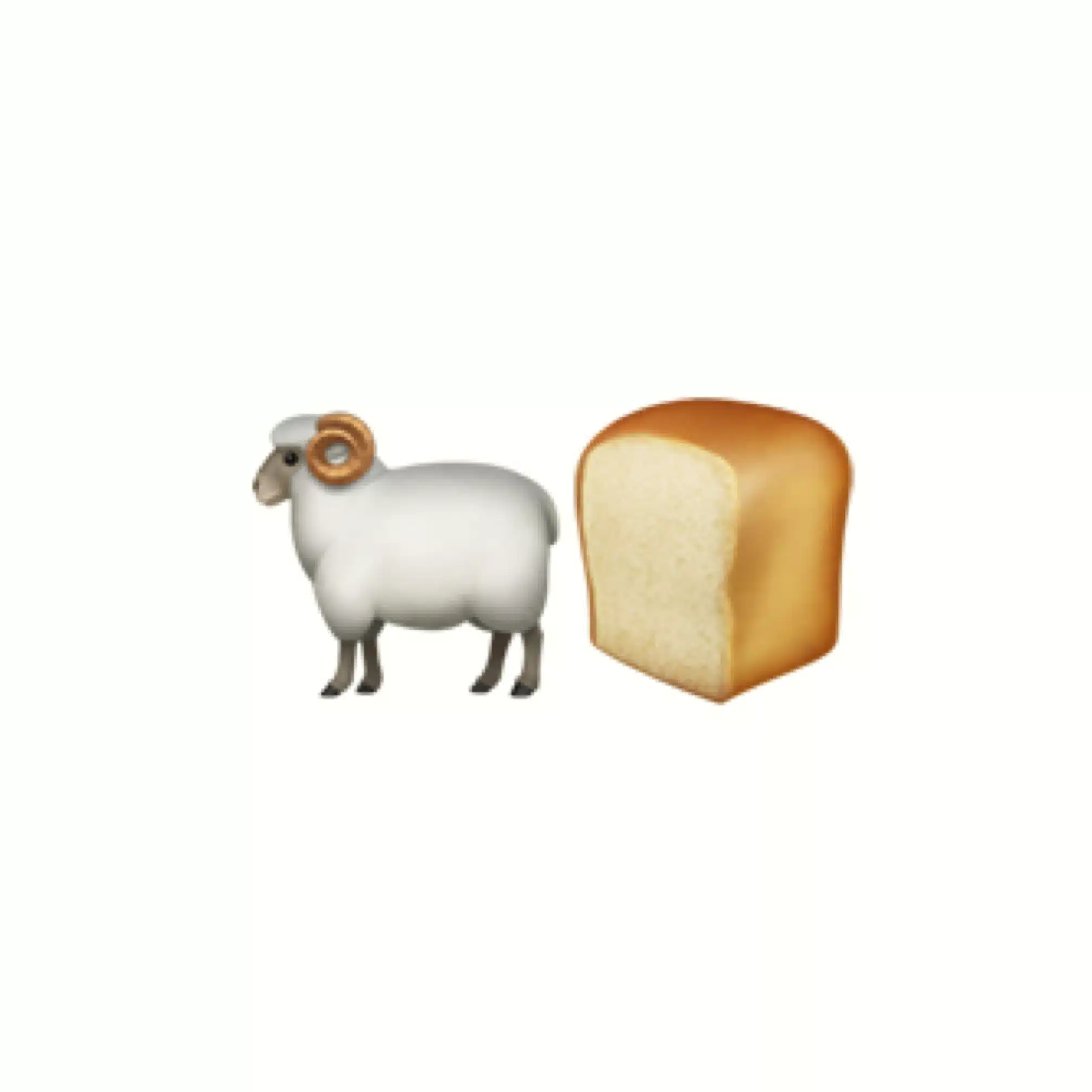 ねんねとコムギコ