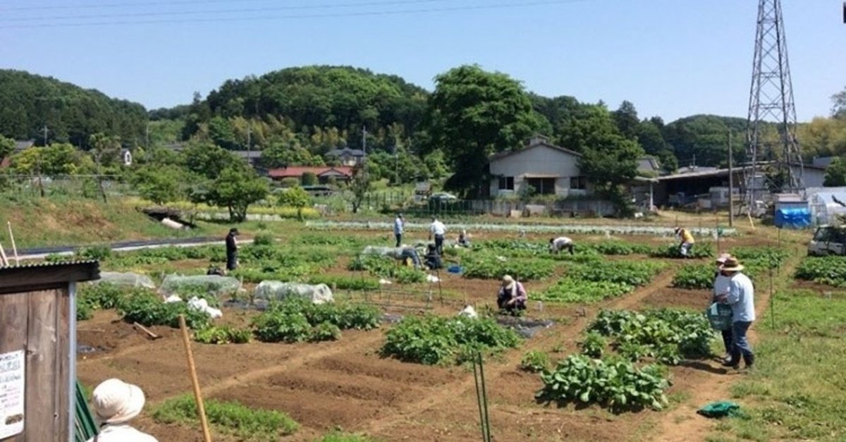 ☆都市農業ビジネスモデル③「体験農園型」＃ビジネスモデルと経営戦略  