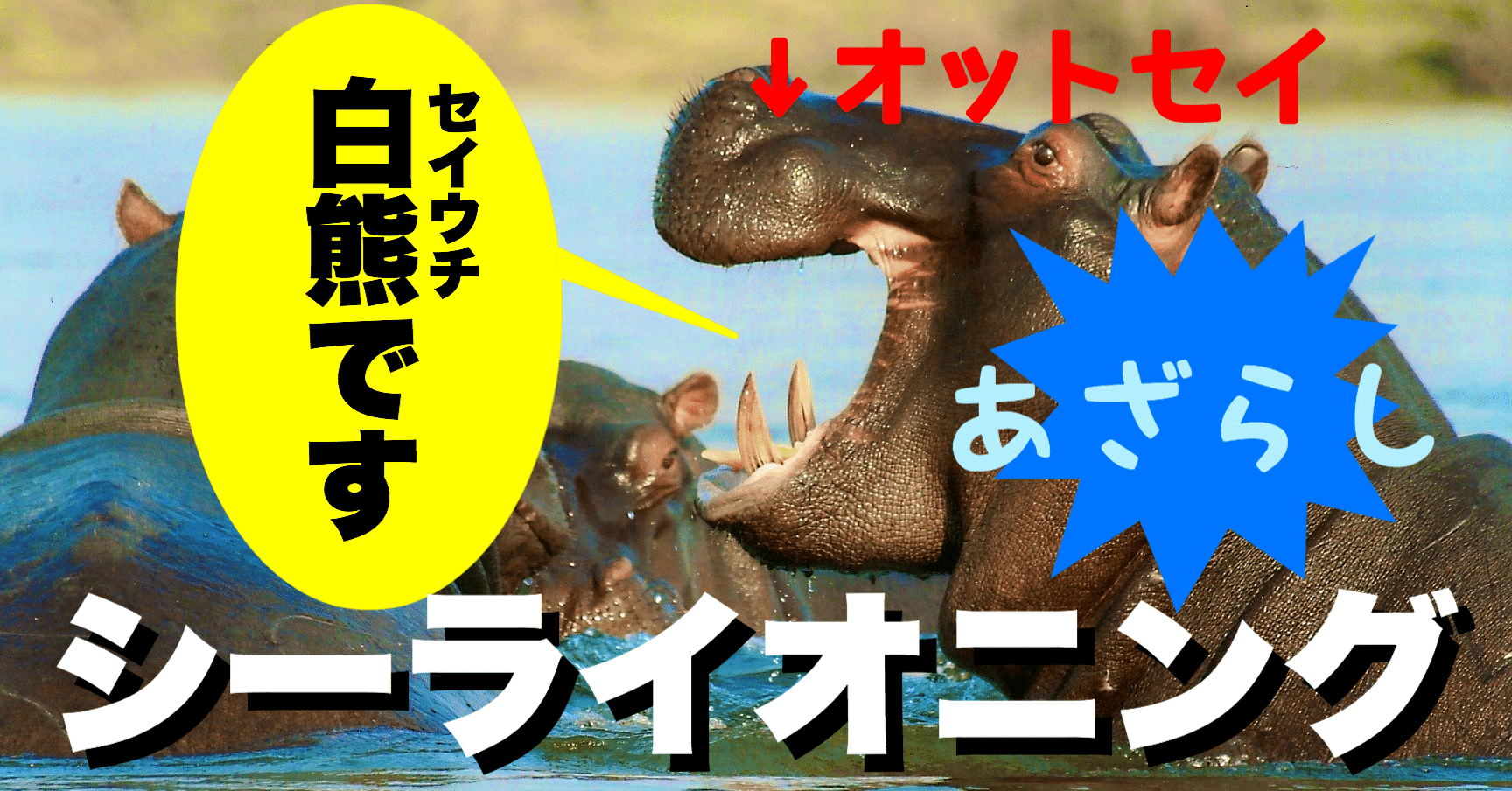 青識亜論への反論 シーライオニングの誤謬 ヒポポタマス Note