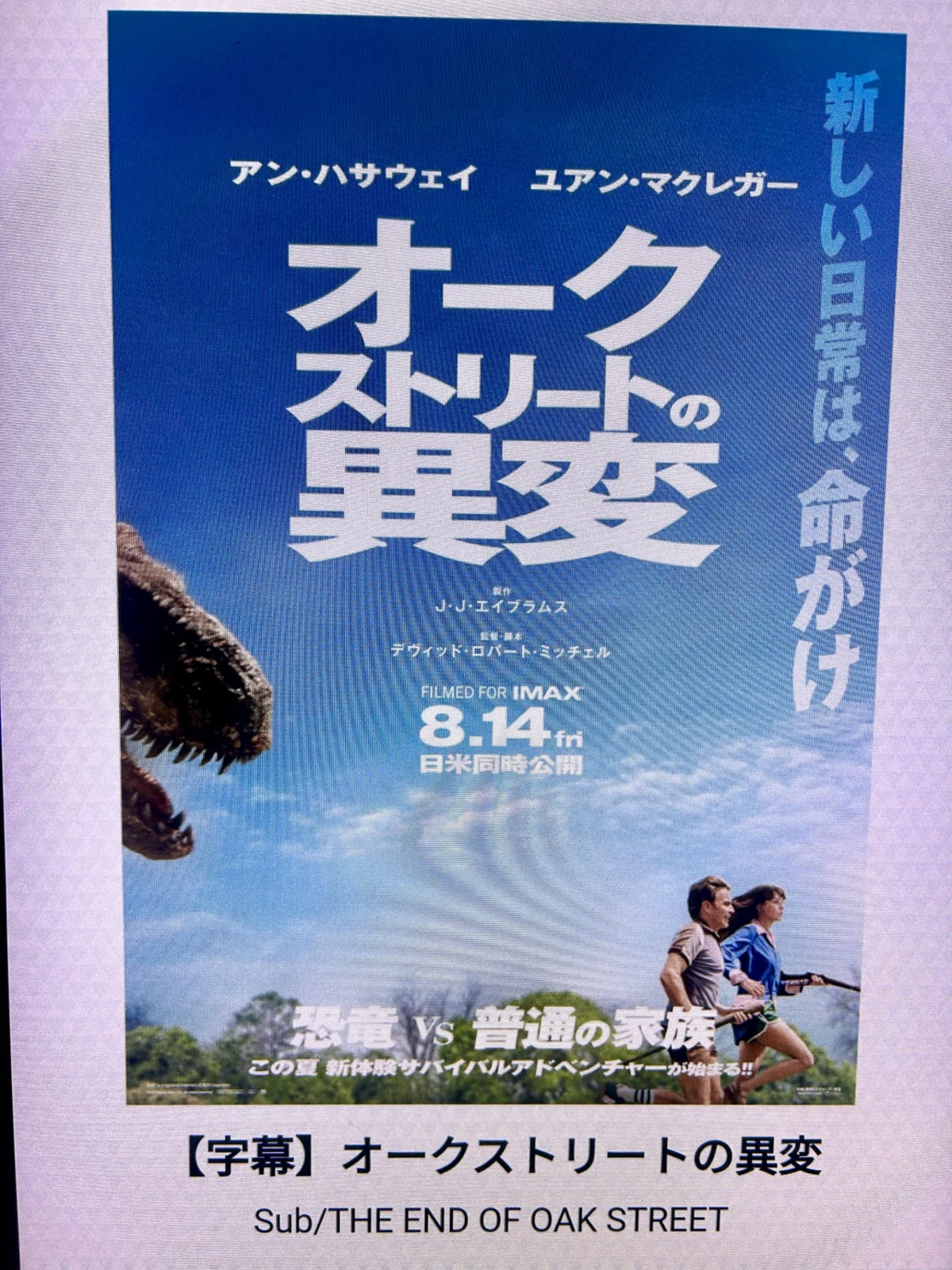 盆サドンデス|🐨