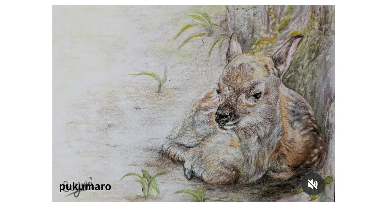 色鉛筆画 name:マロちゃん家パグLAND　ハガキサイズ　犬　原画 色鉛筆画 奈良公園のBambiちゃん ｜ママを待ってるの！｜ぷくまろ