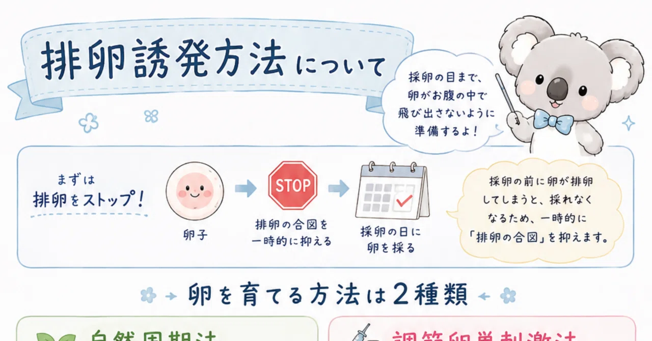 【まること学ぶ】排卵誘発方法について|まるこ | 不妊治療と学び